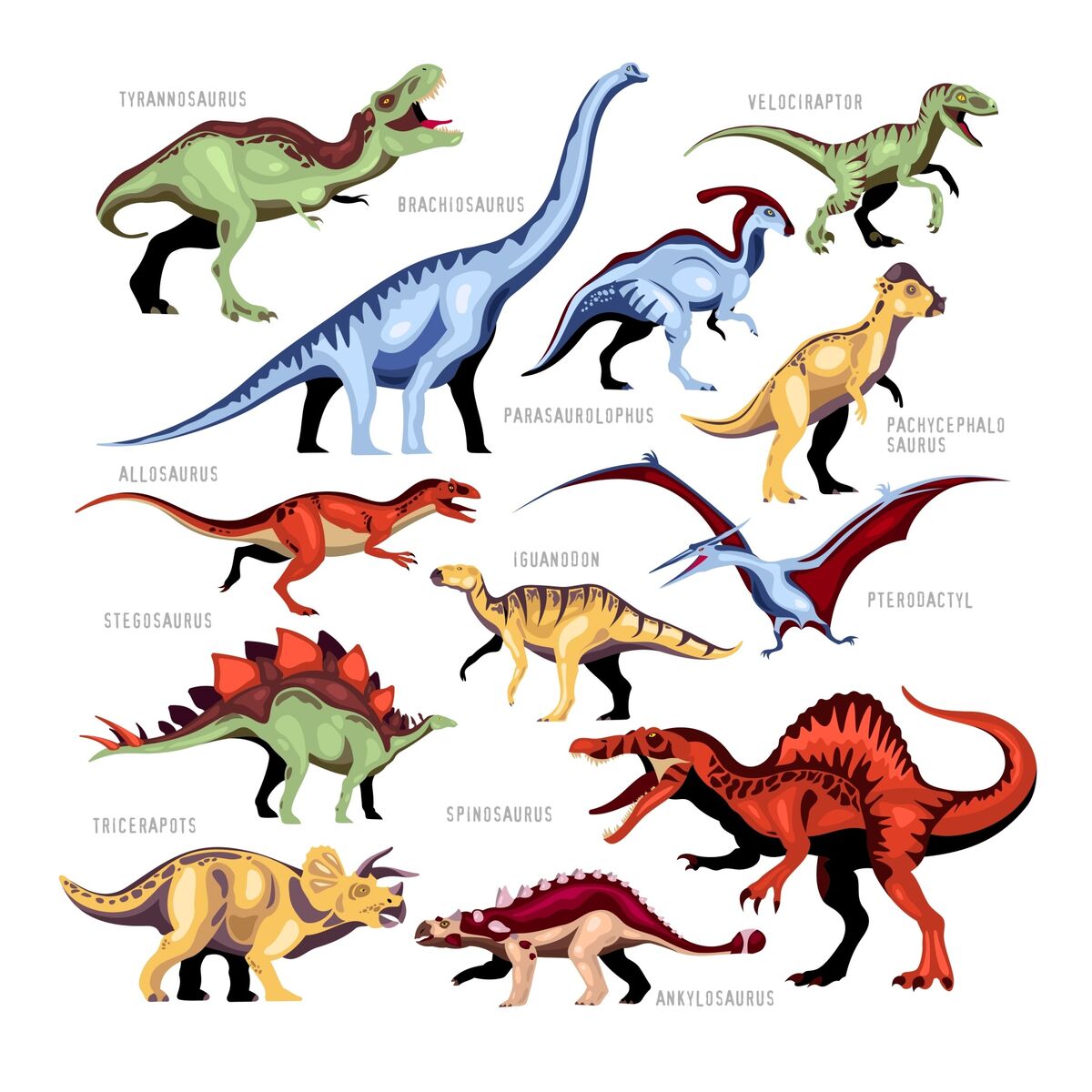 Kindercollege Dino's