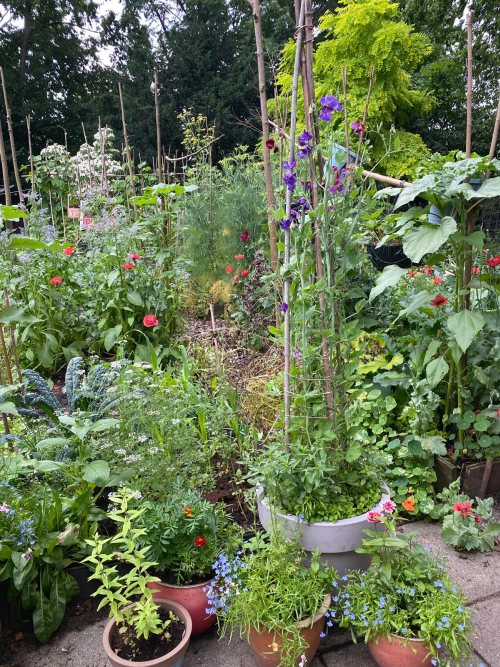 Workshop: Ontdek de magie van zaaien